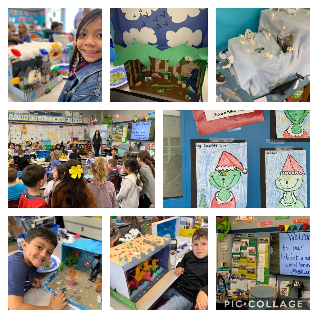 Hollywood Bch School tweet media