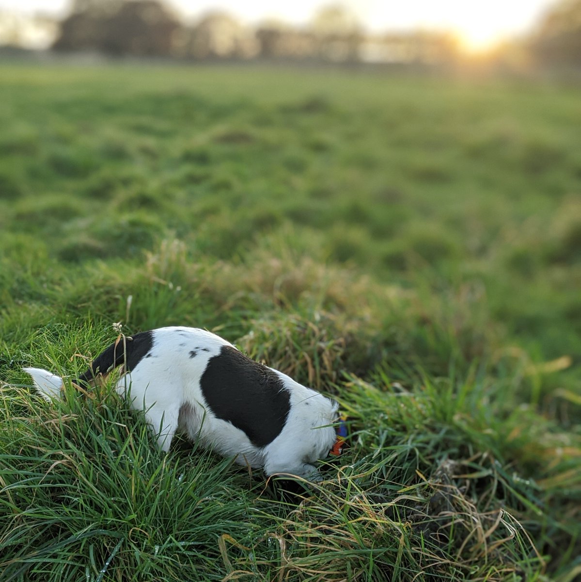 "Doing a Binky"
Hiding away pretending 2020 isn't happening.
Don't be like Binky!
Want find out about how we can help, let's book a time to chat!