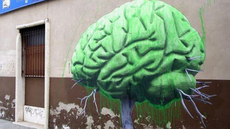 hellogreenhaus tweet picture