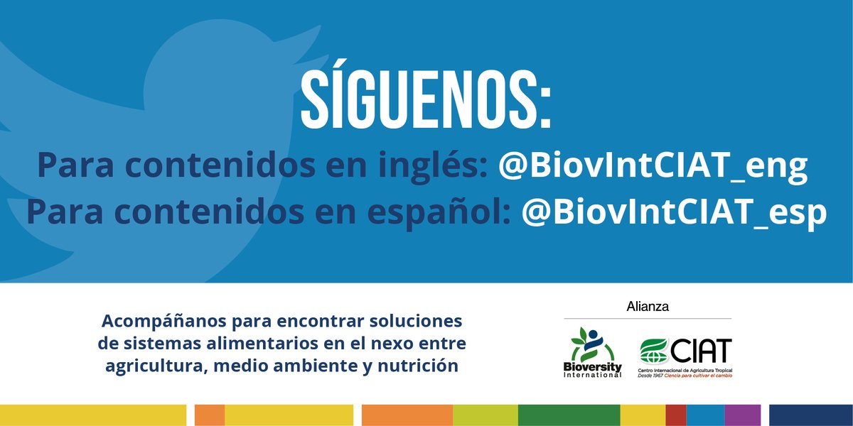 Alianza de Bioversity International y el CIAT (@biovintciat_esp) on Twitter photo La Alianza entre Bioversity International y el CIAT también es una realidad en Twitter. ¡Nuestros medios sociales están uniendo fuerzas!
Síguenos:
Para contenidos en inglés: <a href="/BiovIntCIAT_eng/">Alliance of Bioversity International and CIAT</a>
Para contenidos en español: <a href="/BiovIntCIAT_esp/">Alianza de Bioversity International y el CIAT</a> La Alianza entre Bioversity International y el CIAT también es una realidad en Twitter. ¡Nuestros medios sociales están uniendo fuerzas!
Síguenos:
Para contenidos en inglés: <a href="/BiovIntCIAT_eng/">Alliance of Bioversity International and CIAT</a>
Para contenidos en español: <a href="/BiovIntCIAT_esp/">Alianza de Bioversity International y el CIAT</a>