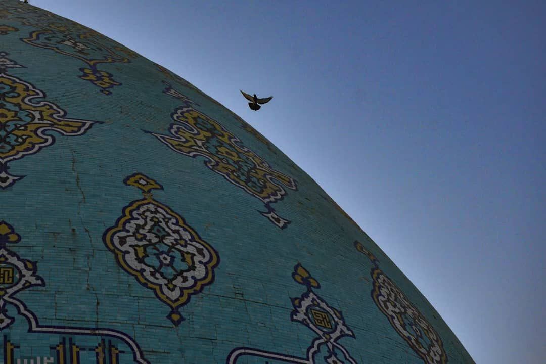 Rozekhon_t's tweet photo. .
تو باز هم به رسم خودت می‌کنی کرم
هر چند اشتباهی از اینجا گذر کنیم ..

#لطیفیان | @Rozekhon_t https://t.co/yGgji3IqRj