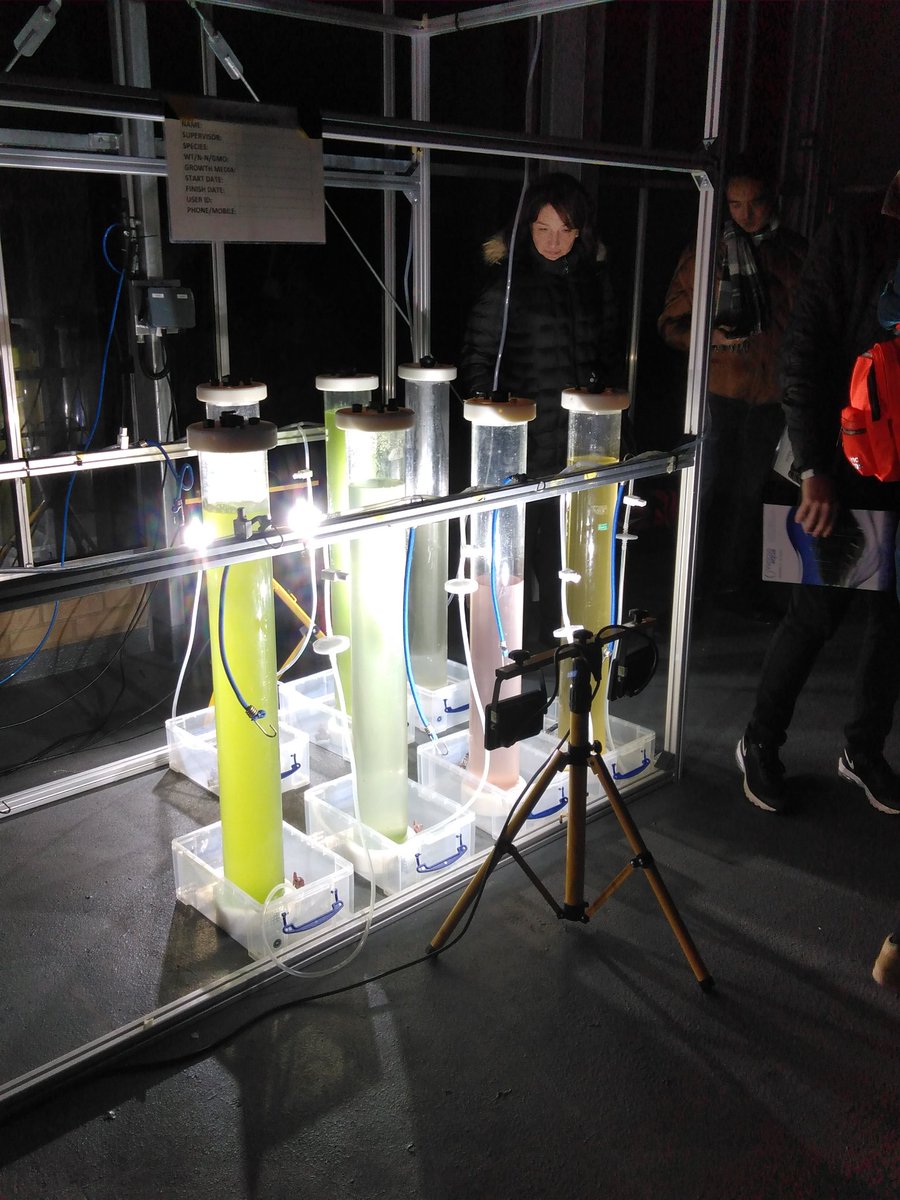 scienceisnotfun's tweet photo. A nicely festive lit algae tour to finish our @EIT_Food algae food biotech course @plantsci and talks by @VariconAqua thanks everyone for making it great few days! @elisabeteik @AllaSilkina1 @Algae_UK @GlobalFood_Camb @CambPlants @A_Lonely_Diatom @payammehrshahi and many others! https://t.co/YJW5MfRaXG
