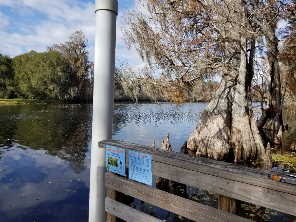 HillsboroughFL's tweet image. #TrailMagic is back in Lettuce Lake Park this week! "Canoe" guess where it is? 

This week’s prize is from Captain Yak! 🛶