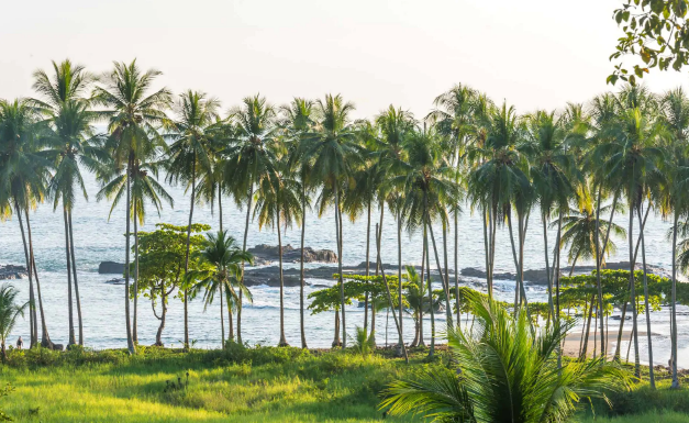 In this week's #expat newsletter: A nostalgic Christmas back home, paradise on earth and the Australian beach ruined by Instagram
Sign up for free, here:
telegraph.co.uk/sh-expats