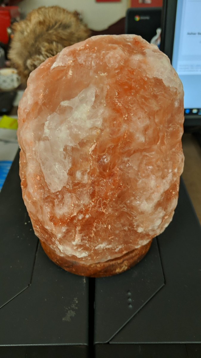 JSPSLibrary's tweet image. Anyone elses students lick their salt rock because they don't believe it's really salt?