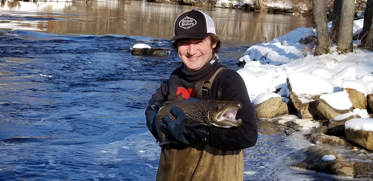 We stocked 50 large broodstock Atlantic salmon into the Naugatuck River (25 each into the upper and lower sections) today (12/13)! Tight lines!