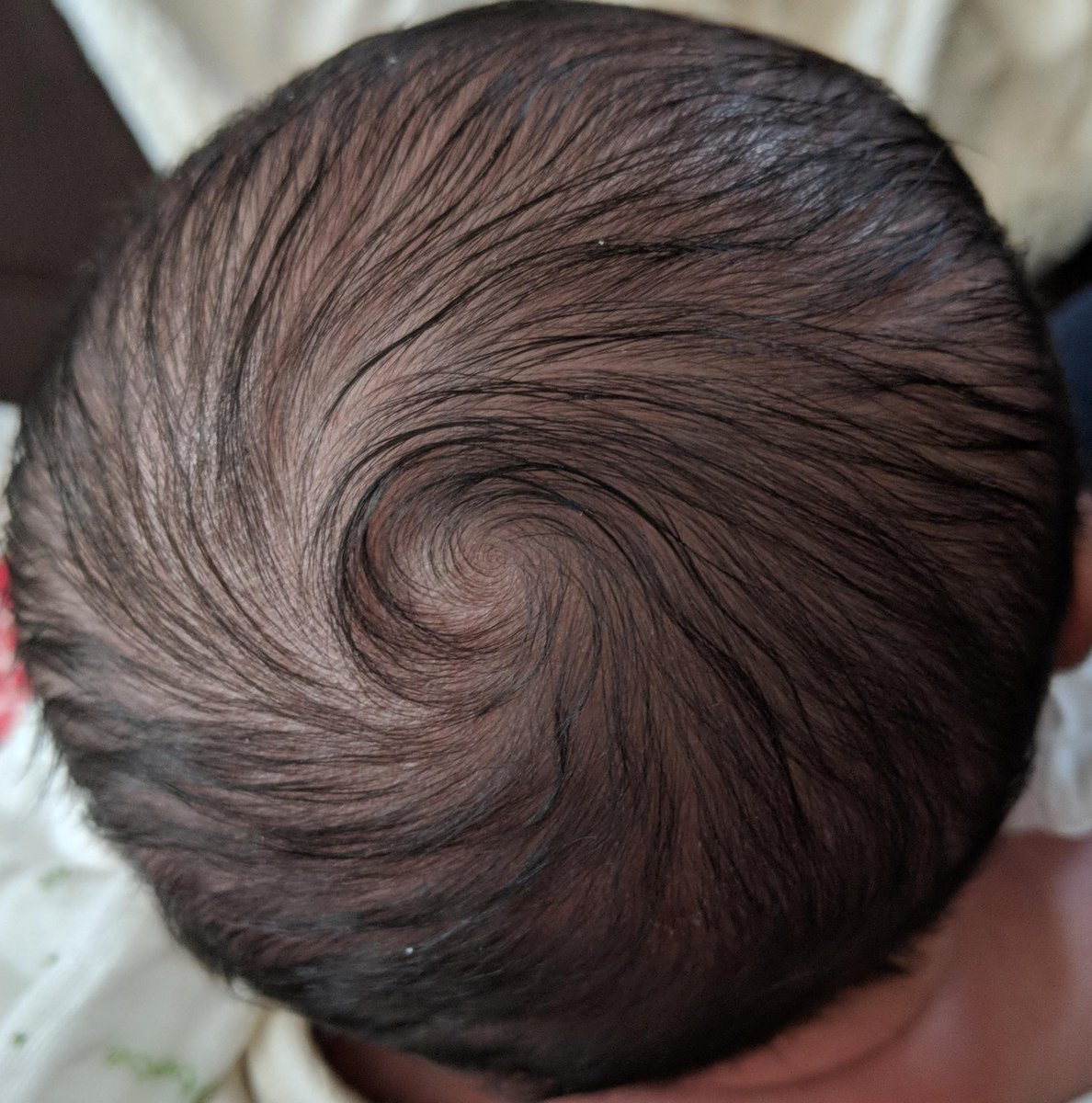 Astro_Maryam's tweet photo. The beautiful, amazing type of galaxy I study these days
#newmom https://t.co/dTUVZiFwlx