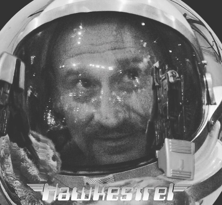 hawkestrel's tweet photo. Space monkey! Ready to sacrifice himself for the greater good. Without pain, without sacrifice, we would have nothing! Like a monkey, ready to be shot into space. https://t.co/44bFf8Bmjw