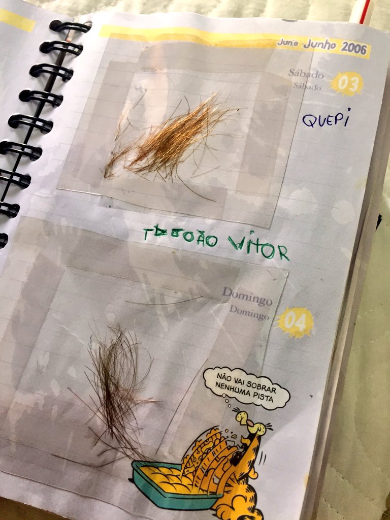 fellipedondoni's tweet photo. No ensino fundamental eu cortava escondido o cabelo das pessoas dormindo e colava na agenda, eu era loko https://t.co/8vdTj1YcDP
