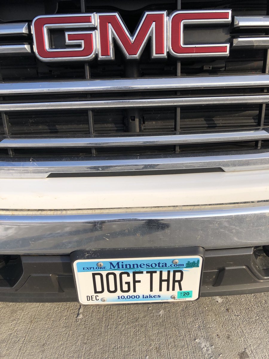 habitatchampion's tweet image. The only thing better than three labradors is four. And an appropriately named truck to transport them