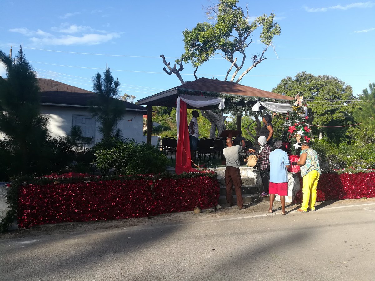 Preparing Kew Settlement Christmas Tree Lighting with Caicos pine tonight, Corner Wall, Kew, North Caicos <a href="/TCIG_Press/">TCIG Communications Directorate</a> <a href="/TCIGO/">TCI Governor</a> @KewUKOTs #kewtci