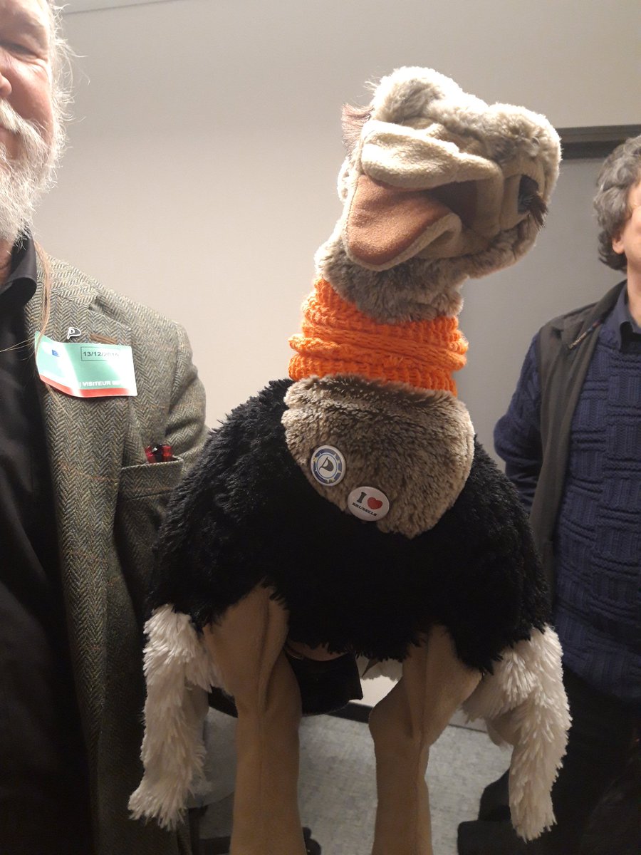 wakoatleast's tweet photo. Zu Besuch im EP bei @echo_pbreyer und dem @Terrorstofftier #Brüssel https://t.co/OssZQEwf6G