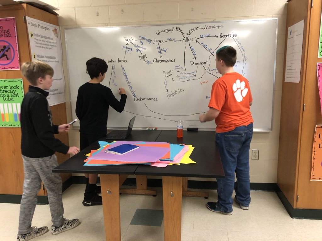 RRichardson001's tweet photo. A beautiful mess! Students map some of the many relationships between their genetics vocabulary. #thestjamesway #sharpsharks #sjmsharks https://t.co/uS7eeoUgt1