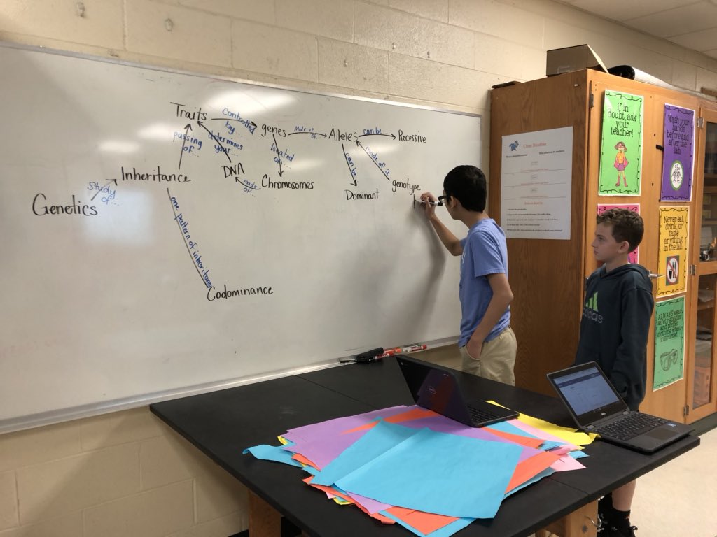 RRichardson001's tweet photo. A beautiful mess! Students map some of the many relationships between their genetics vocabulary. #thestjamesway #sharpsharks #sjmsharks https://t.co/uS7eeoUgt1