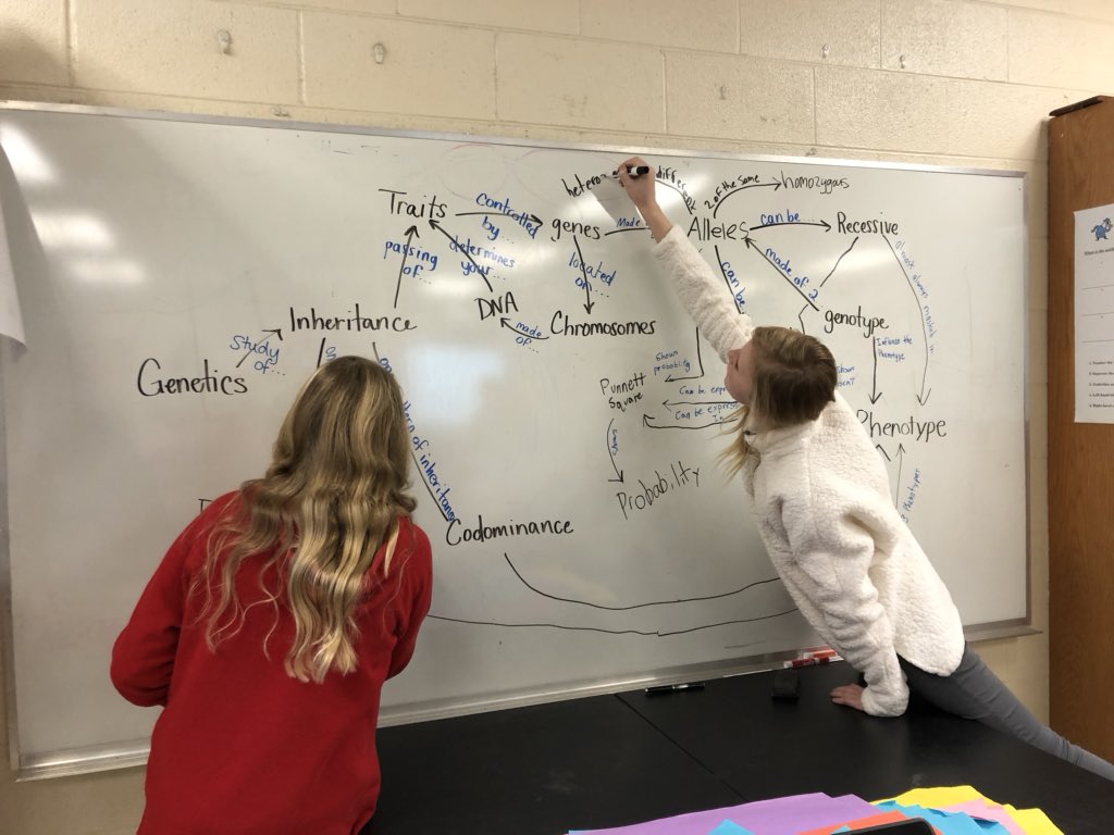 RRichardson001's tweet photo. A beautiful mess! Students map some of the many relationships between their genetics vocabulary. #thestjamesway #sharpsharks #sjmsharks https://t.co/uS7eeoUgt1