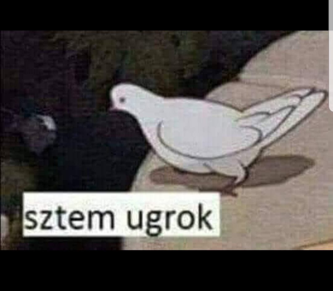BatorVari's tweet photo. Guys I need your help someone send me a therapyst I cant stand my ava max addiction https://t.co/W12aOE88kw