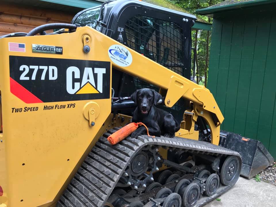 Ziegler CAT tweet media
