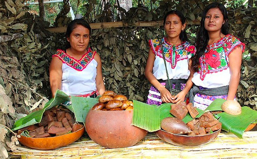 mexicond's tweet image. Mexico’s linguistic diversity under threat, say indigenous language speakers. ow.ly/OwZU50xzO8h
