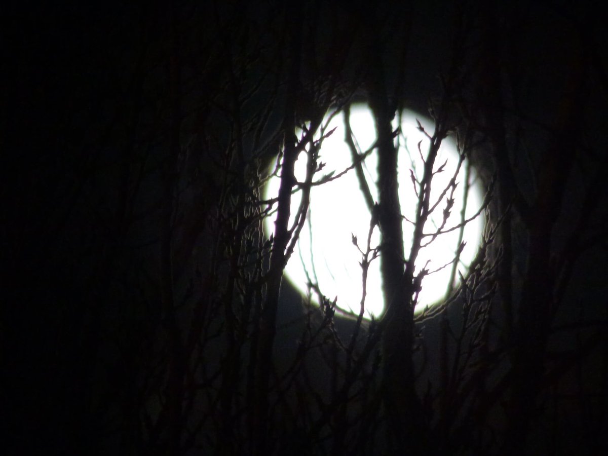 estherpale's tweet photo. Luna llena fría + 1 día. Merece la pena una sesión. Desde Cuenca https://t.co/ENC0wjjV3Y