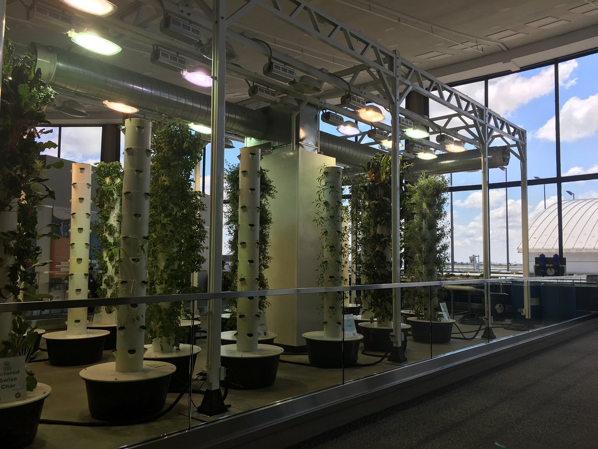 bogardpd's tweet photo. @alexforsythe Honestly yeah, I’ve had way more good experiences at ORD than bad; it’s one of my favorite places to have a layover. https://t.co/uO4rNRyk3k
