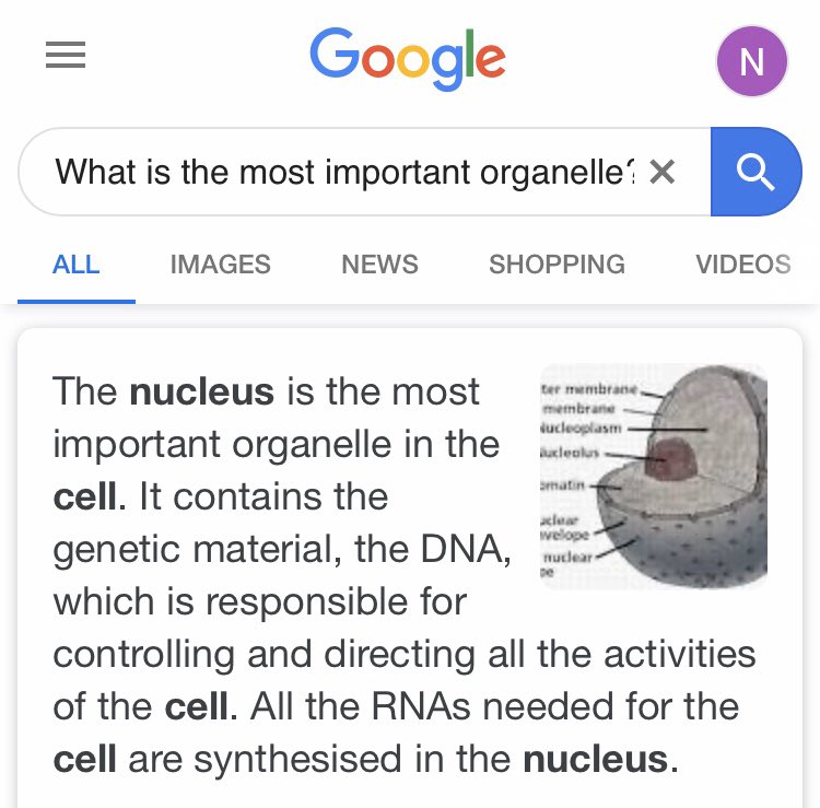 NickyNe44922774's tweet photo. Ever wondered which organelle was the most important? 

Take a look 👀 
#RHSOrganelleWars https://t.co/iPfTNBkCf8