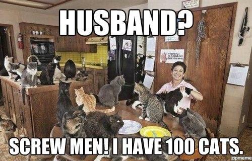 s_O2Digital's tweet image. 7% of single women have cats
14% of married women have cats

So much for the myth of the single cat lady. 

Our Targeted Email Team can help you herd your cats. Contact us today!
 
#targetedemail #emailmarketing #digitalmedia #cats  #so2digital #supplementaloxygendigital #email