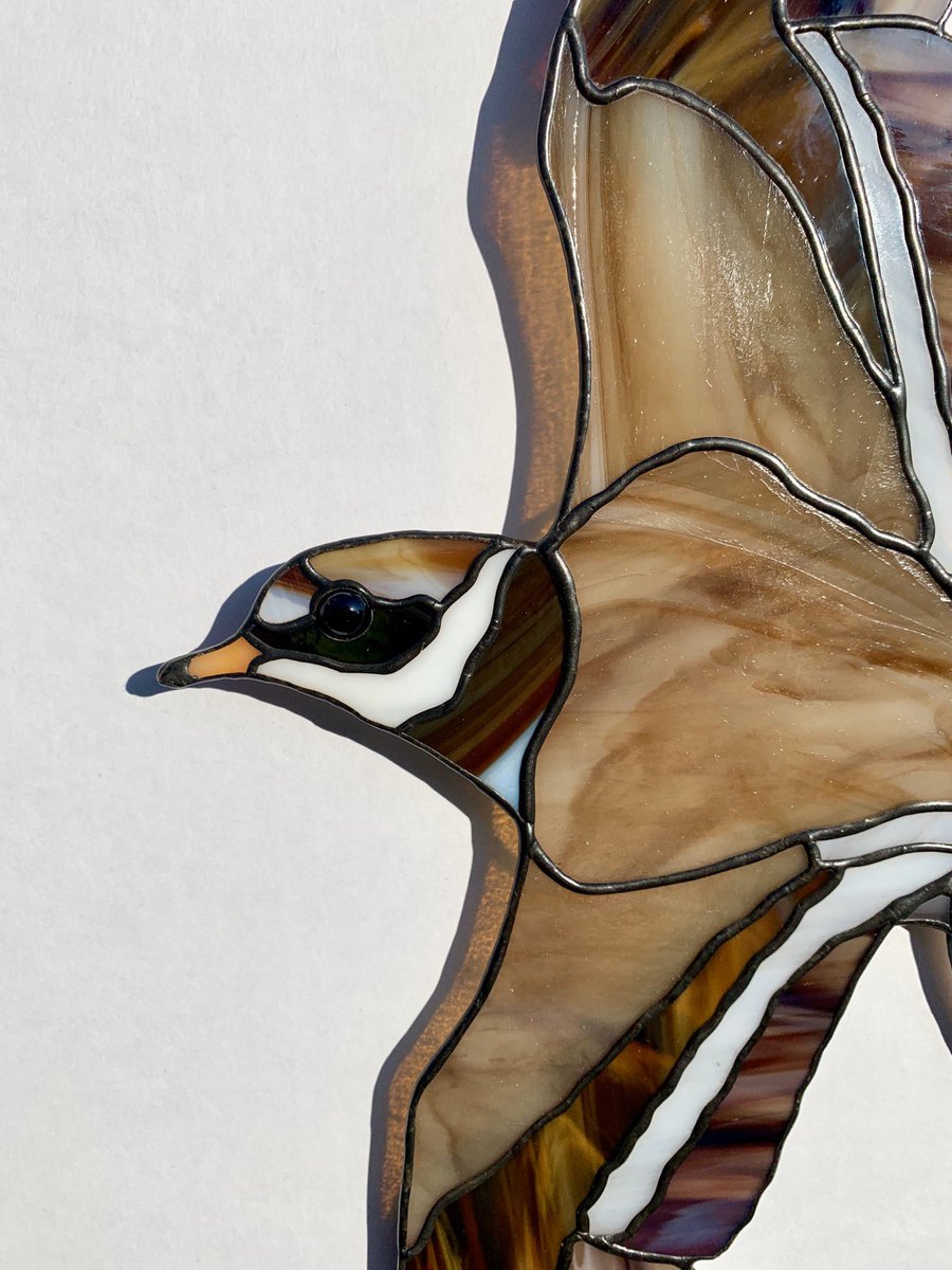 fidhw's tweet photo. I am very excited to announce that some of my work is now on show (and for sale) at the beautiful BIRDScapes Gallery in Holt, North Norfolk! Including these four lovelies - go on, you know you want to... https://t.co/kTp10c83XK
