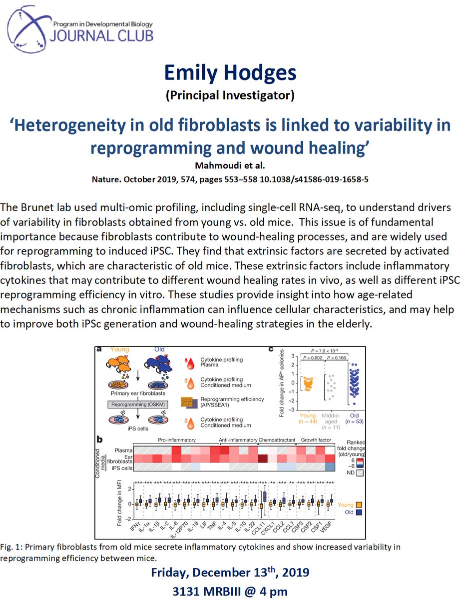 Flyer for the Program in Developmental Biology journal club. Emily Hodges will present a paper titled, "Heterogeneity in old fibroblasts is linked to variability in reprogramming and wound healing," by Mahmoudi et al. Full citation: "Nature. October 2019, 574, pg 553-558 10.1038/s41586-019-1658-5." An abstract and the paper's Figure 1 are included below the title.