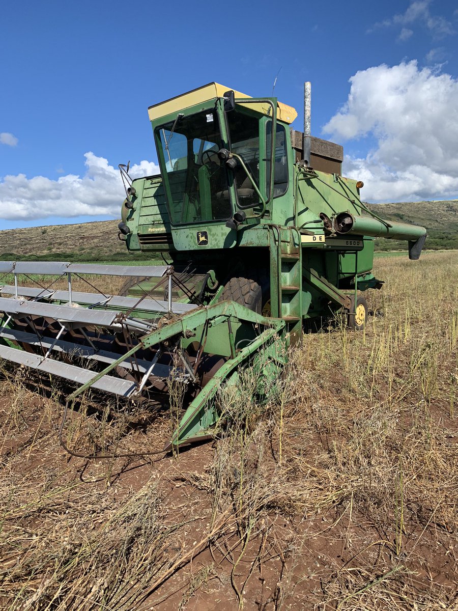 akclark23's tweet photo. @mattloge @BecksAgSouth @BecksHybrids 1962 6600. About as fast as the old girl wanted. Stems where really green still. I made her growl a few times so I was taking it easy https://t.co/e2e0eOojuc