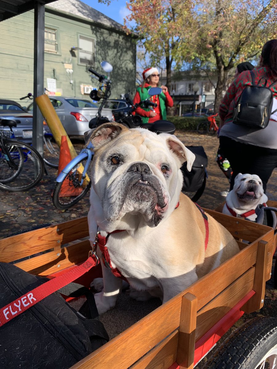 Mikey Hood (@mikeyhood) on Twitter photo 