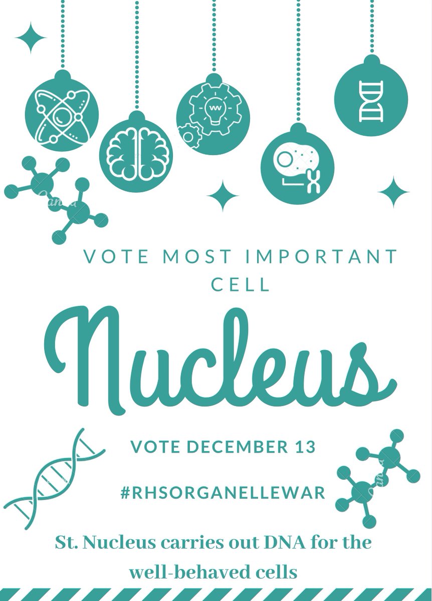 NickyNe44922774's tweet photo. Nucleus may be the start of the cell, containing genetic info and conduction regulation. If you ever vote for the important ones, start with the nucleus.
#RHSOrganelleWars https://t.co/rpvMqxRnt8