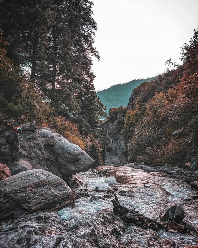 Into the woods .
.
.
.
.
.
.
.
.
.
#oneplus6 #oneplus #shotononeplus #lightroom #snapseed #nature #natural #winters #travelling #travellingdiaries #kasol #himachalpradesh #trekking #sky #mountains #mobilephotography #adaytoremember #withfriends #river #l… ift.tt/2RN3wAe