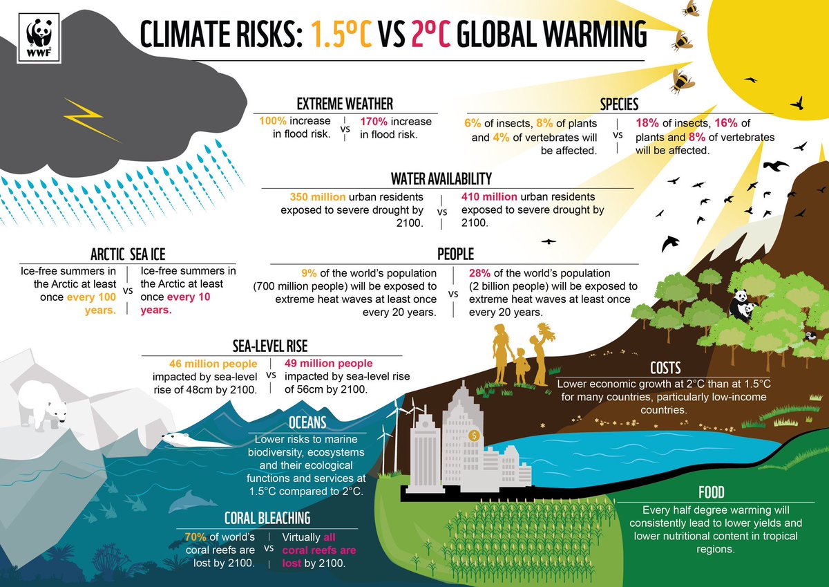 redlabsolution's tweet image. Great graphic! It’s impressive the difference that only 0.5C will make! #Sustainability #climatechange #ClimateCrisis