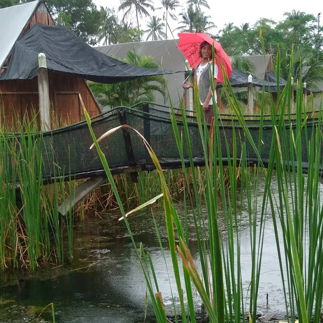 takainoue2000's tweet photo. 宿の人が親切に傘🌂を貸してくれました。
Terima kasih 🙏
#マレーシア🇲🇾 #malaysia #cherating #大雨 #雨☔ #傘 #☂️ #池の上 #橋 #蒲 #ガマの穂 #ティピーテント #asia #ヤシの木 #三刀流 #プロサーファー #井上鷹 #takainoue #tanjunginn @tanjunginn https://t.co/ev152zeHWy