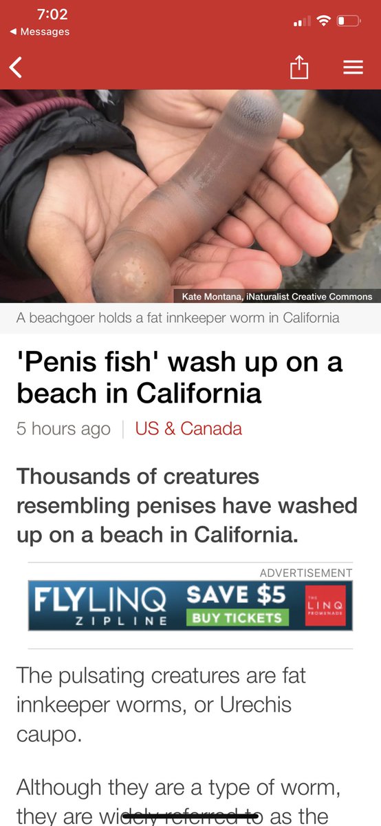 TheRealScuzzo's tweet photo. Cali is fucked!!! So many dicks!! They even got em@in the water!! (Jk, got mad love for the Golden State) but On the real KEEP YOUR BUTTHOLE CLOSED IN THE PACIFIC OCEAN!! #seaCocks #noBueno #tooMuchDick #CantStopWontStop https://t.co/L7NhD8z49H