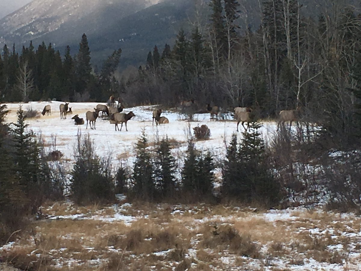 CanadasWalk's tweet image. Seeing the beauty of nature on the trail in Beautiful BC, will be in Hope in 4 days.@OkanaganGlobal @DRIF_Can @JDRF_Canada @DiabetesCanada @CanadasWalk @1sylviastark @ExtraLars