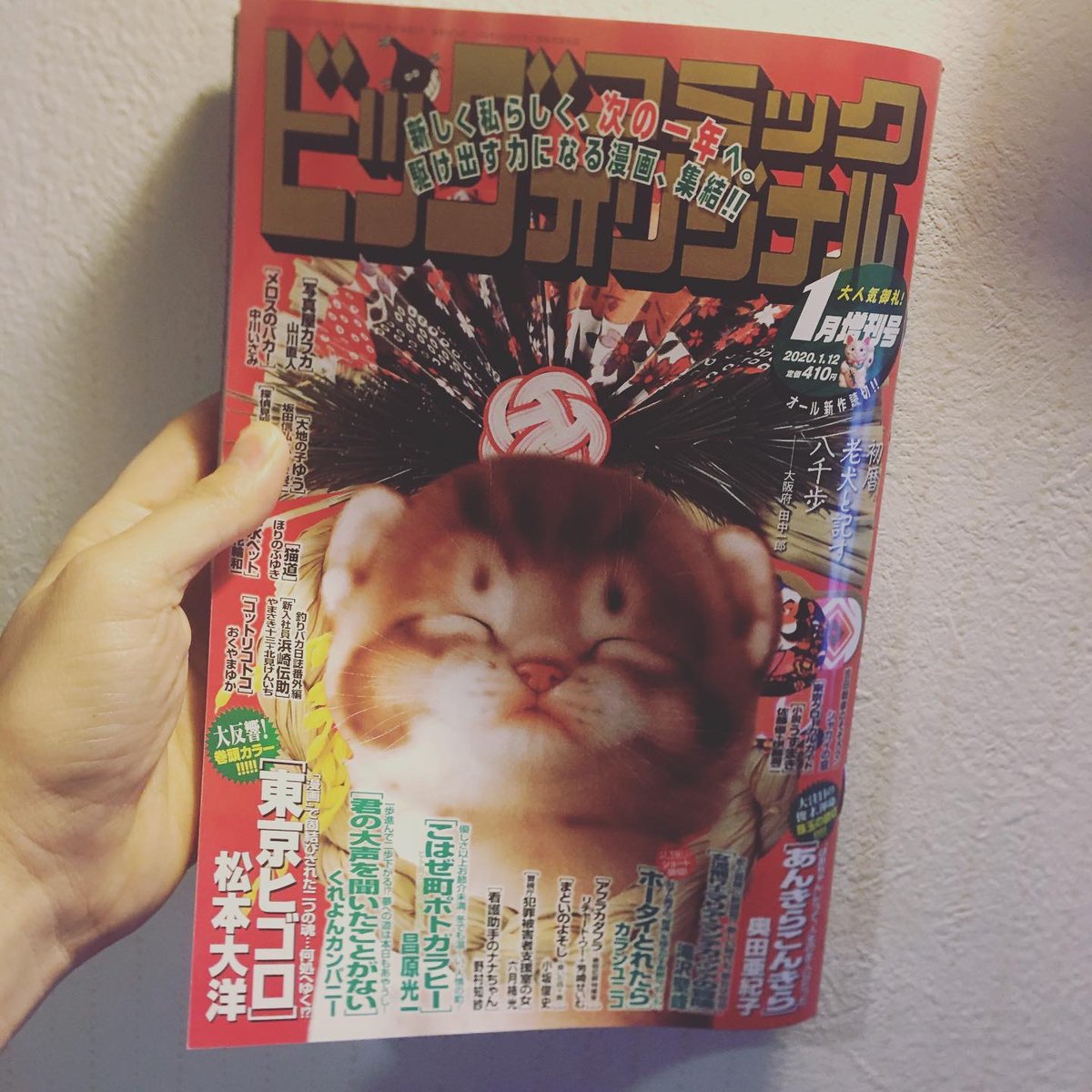 発売中のビッグコミックオリジナル1月増刊号に予告が載っていますが、次号に短篇「ムルの顔」を描いております。いいタイトルだなあ(自己申告)。発売は来年の2月12日ごろ。近くなったらまた告知します。 