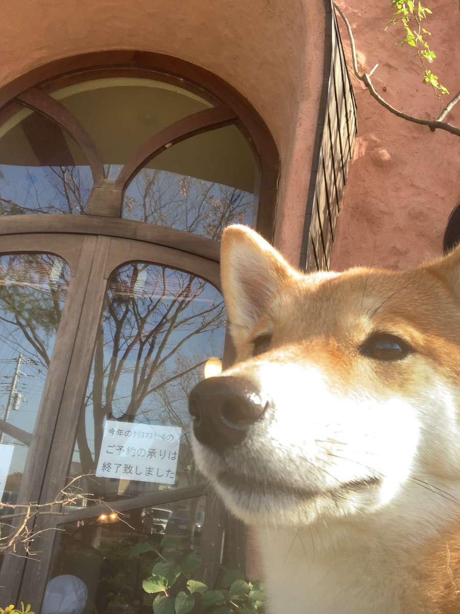 リリエンベルグ リリエンベルグ
