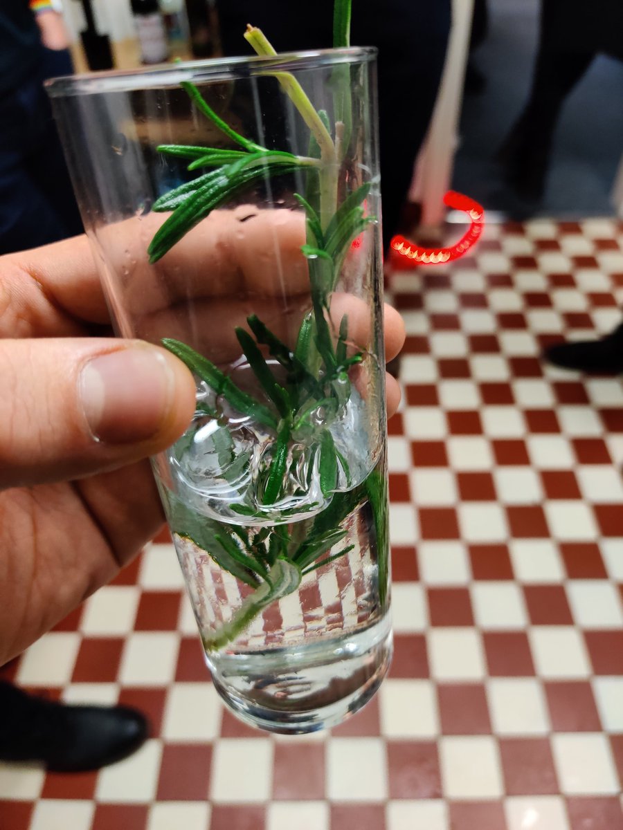 DemmerDennis's tweet photo. Erkenntnis des Abends. Kölsch-Gläser eignen sich perfekt für @GinMare mit Tonic und Rosmarin. Danke @nilsreiter
#dhcxmas https://t.co/YXvEnzuiZA