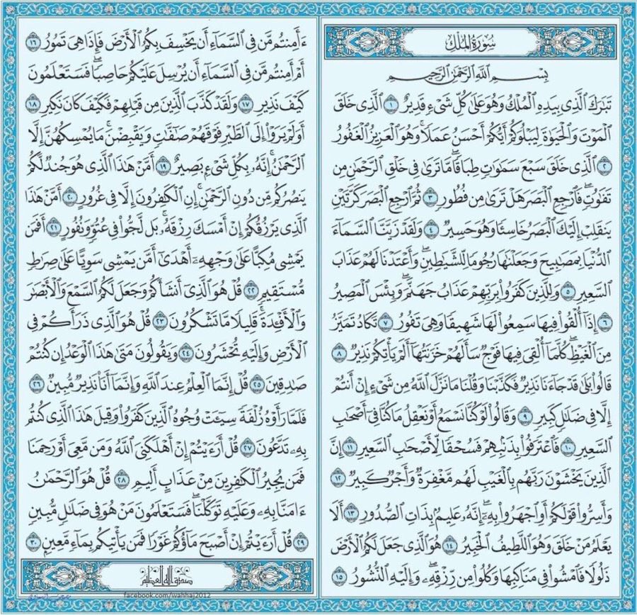 . tweet media