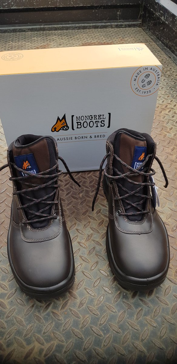 Paul_Shoker's tweet photo. If your looking for a comfortable, durable 100% #australianmade workboot don't go past Mongrel boots. I've worn this style for years and always get great use. New v old boots #agchatoz #boots https://t.co/9SKVYEHro7