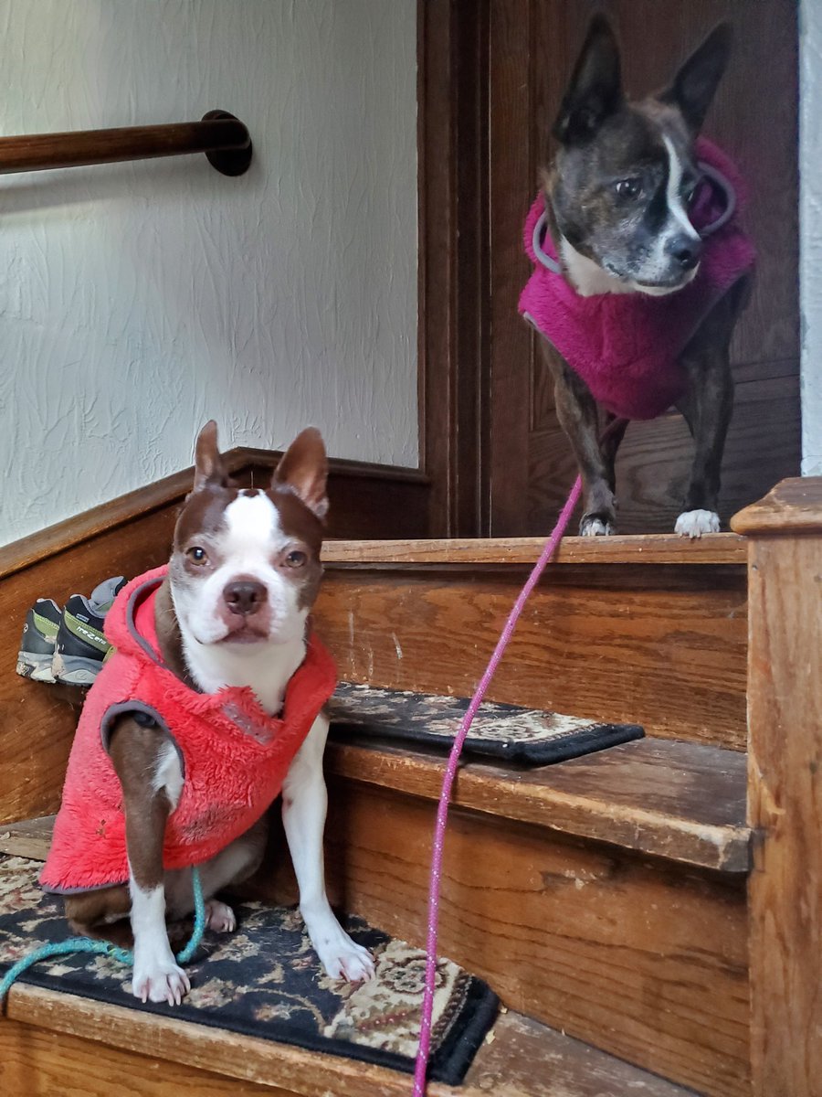 Heading home after a neat week at #SPFestChi. Met some pretty cool folks but looking forward to seeing the wife and these two suckers. #FridayFeeling #LGBT #womenintech #FridayThe13th
