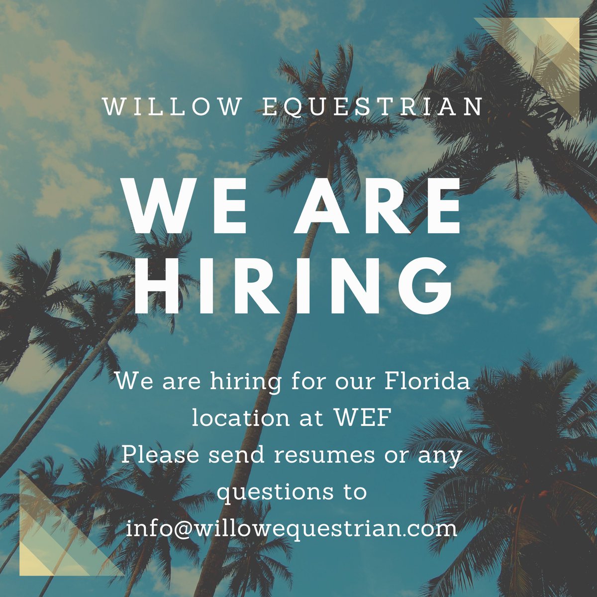 Willow Equestrian tweet media