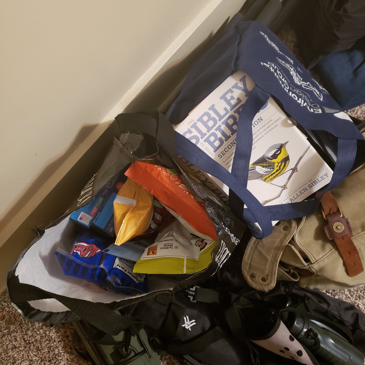 VultureVagabond's tweet image. Preparing for a rainy Christmas Bird Count! #CBC #firelands #ohiobirding