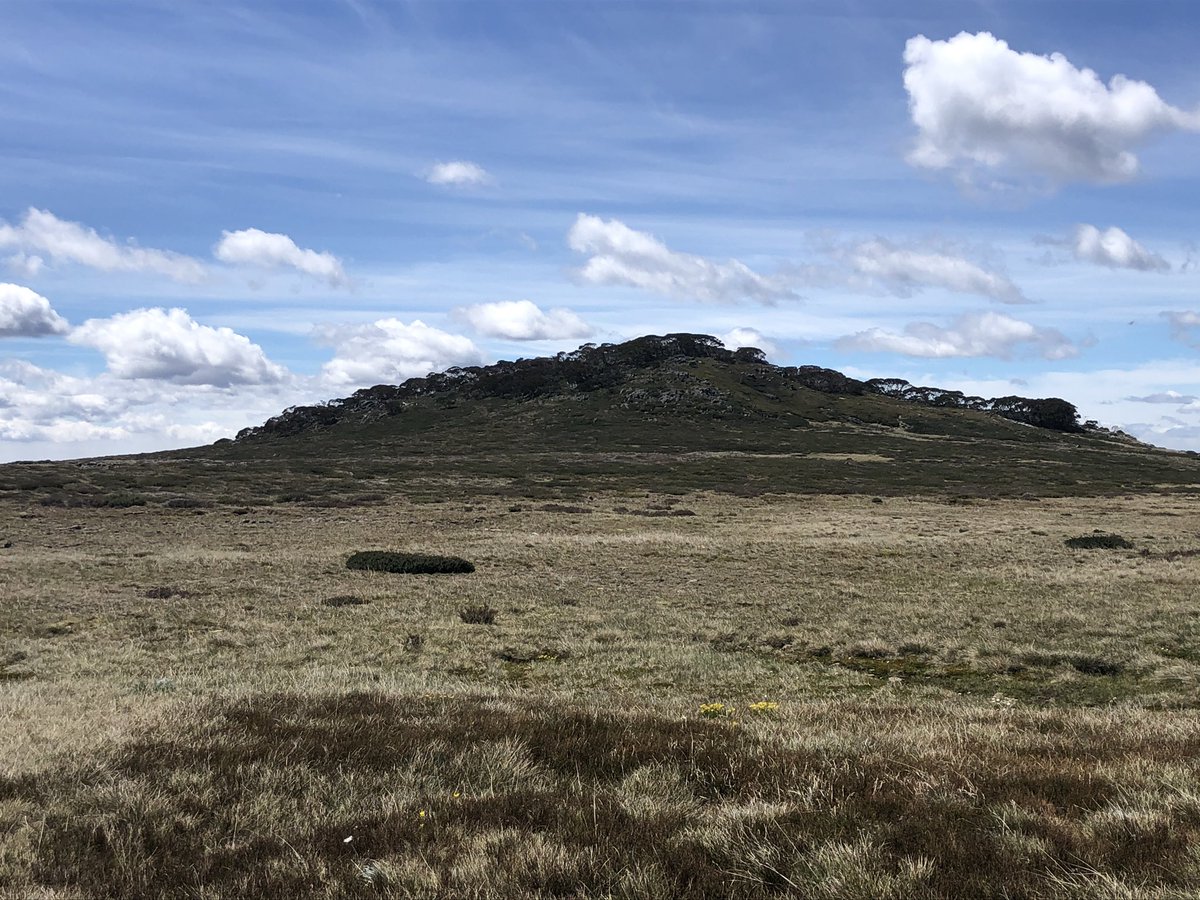 This humble mound jutting out of the Bogong High Plains is Mt Jim (1818m). It is not one of the world’s great peaks but its summit is six times higher than Australia’s tallest manmade structure and Jims everywhere should be proud of it  @JimWilsonTV