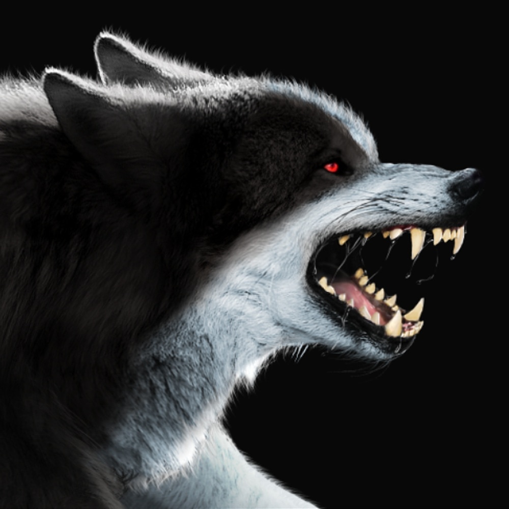 killer_studio's tweet photo. we aim to focus on the details to be presenting a game with amazing graphics for you
 #ilustration #desenhos #valhalla #games #indiegames #arte #digitalart #artedigital #gamedev #vikings #nordic #mitologianórdica #viking #support #wolf #wolves #werewolf #wolfart #animal #canine https://t.co/4jJe1MpkE8
