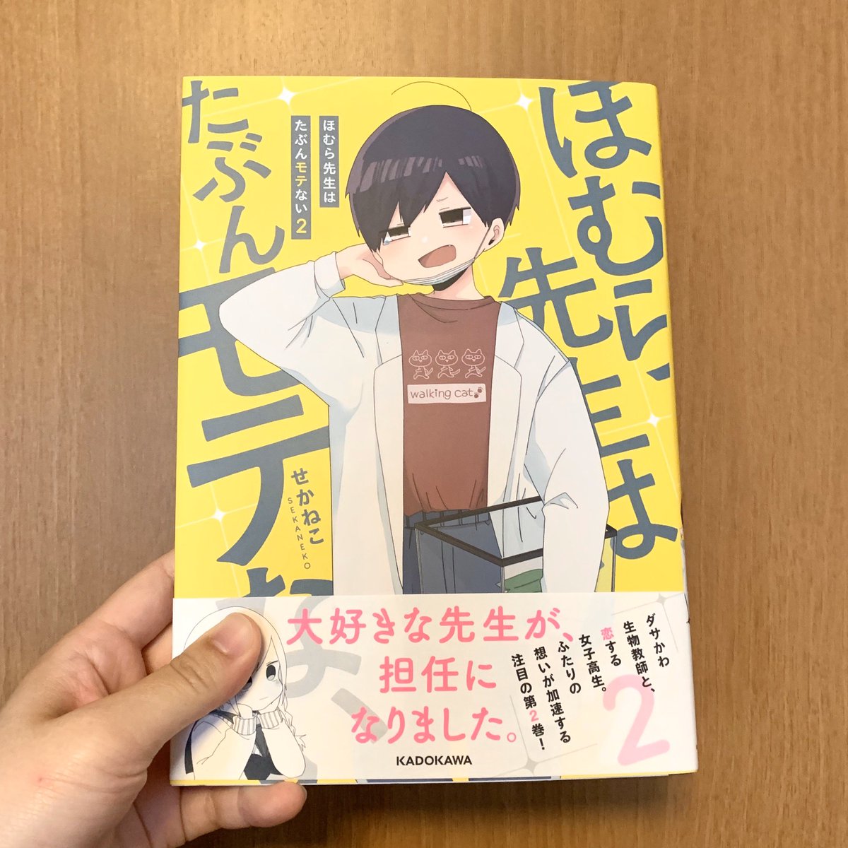 ほむら先生がこんなにモテるなんて ほむら先生がこんなにモテるなんて