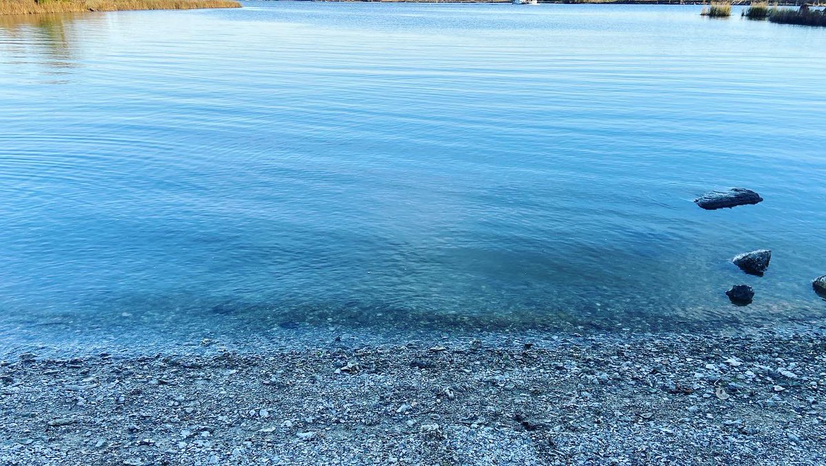 We’re just trying to save the turtles🐢🌊♻️  #BeachCleanUp