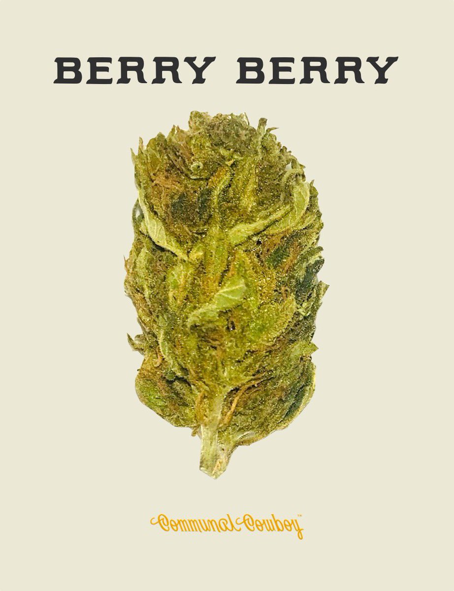 communalcowboy's tweet image. 🌞CBD GIVEAWAY🌞

1 random follower chosen this Sunday will receive an eighth of their choice

communalcowboy.com/collections/al…
