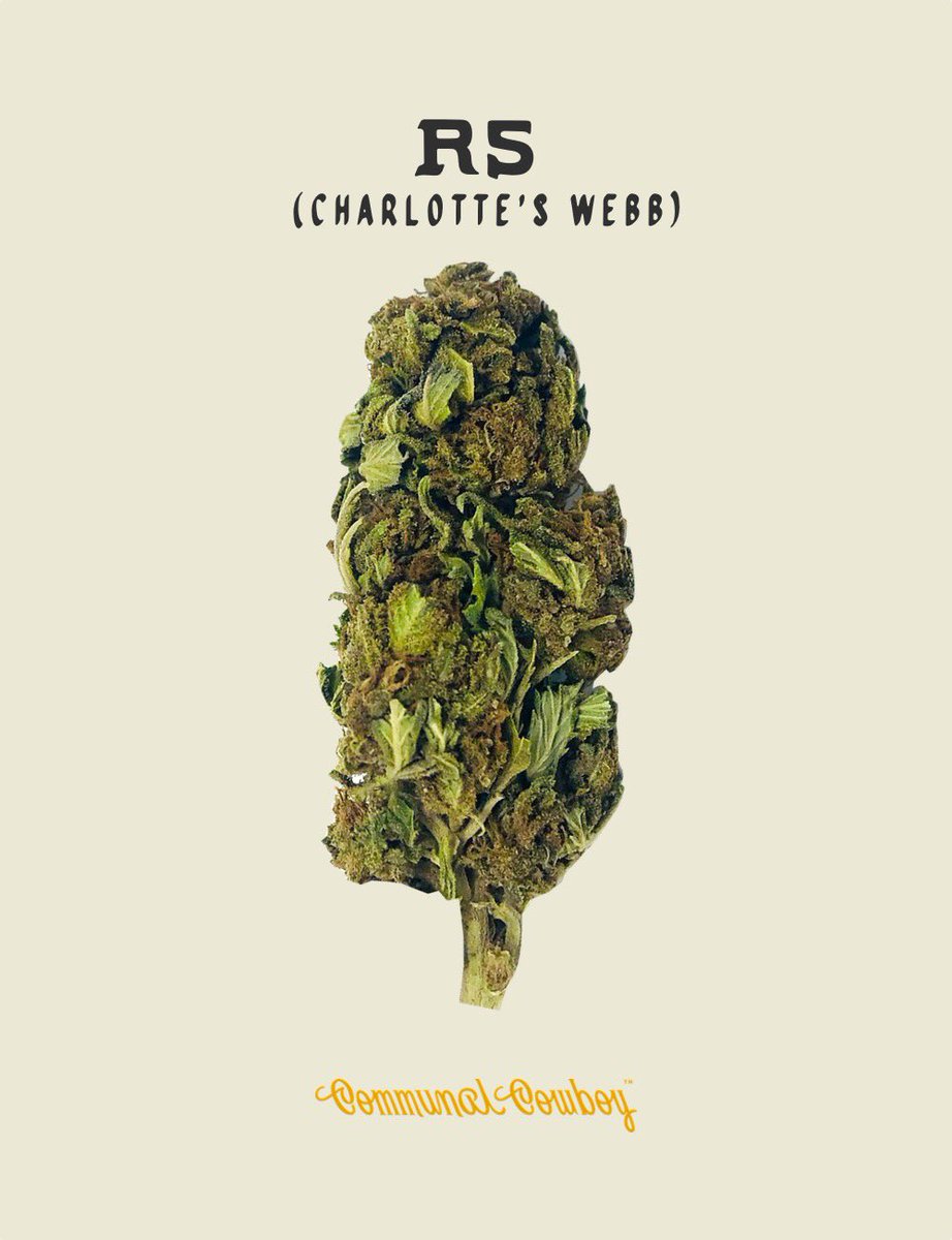 communalcowboy's tweet image. 🌞CBD GIVEAWAY🌞

1 random follower chosen this Sunday will receive an eighth of their choice

communalcowboy.com/collections/al…
